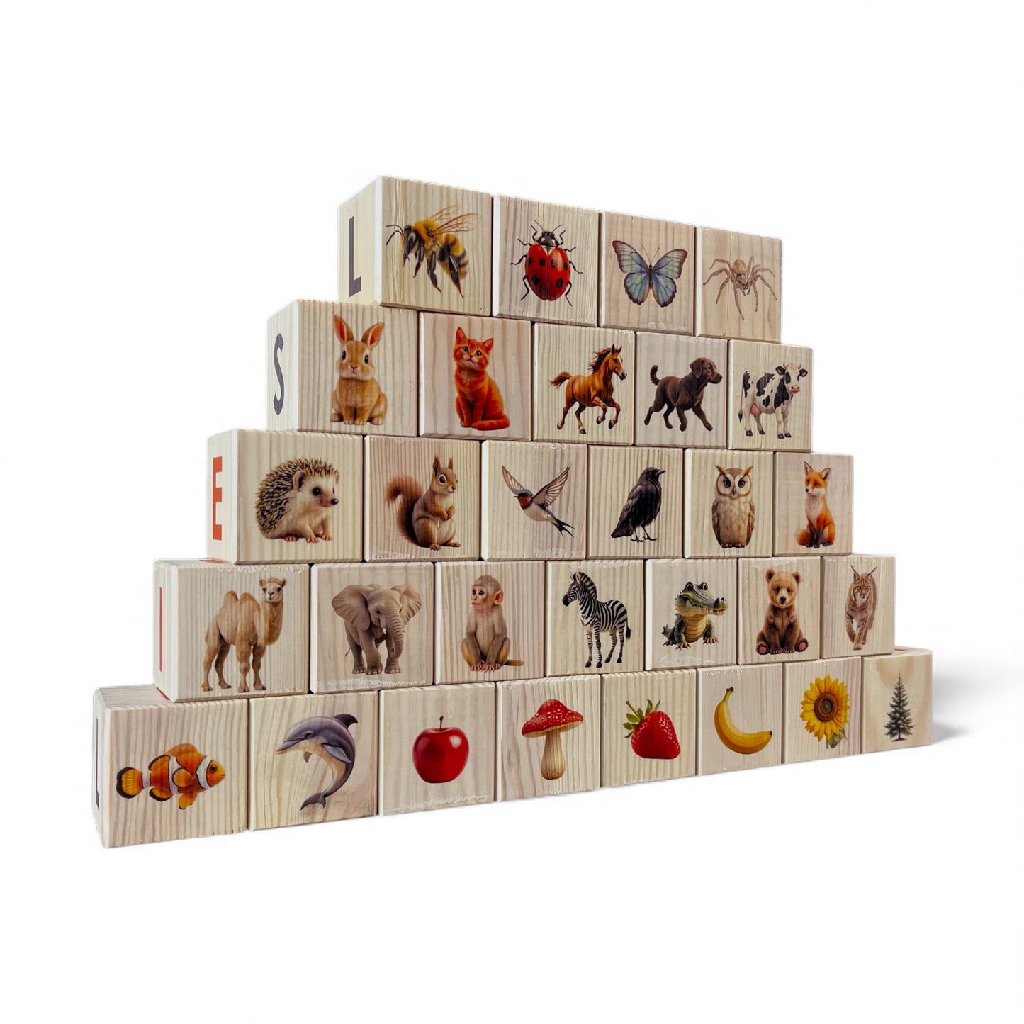 Nature Alpabet Blocks - Estonian Alphabet - Set of 30