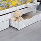 Infano Jerwen compact bed with white wooden frame, under-bed storage drawer, and a teddy bear inside.