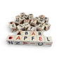 Nature Alphabet Blocks - German alphabet - Set of 30, educational wooden blocks with letters and images.
