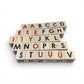 Nature Alphabet Blocks - Lithuanian alphabet - Set of 30 displayed with letters on wooden blocks.